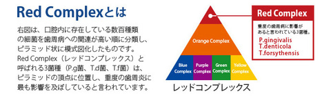レッドコンプレックス.jpg